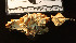  (Hydnopolyporus - MEX-0009)  @11 [ ] CreativeCommons - Attribution Non-Commercial (2016) Emanuel Grassi UBA