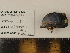  ( - PEB0059)  @12 [ ] CreativeCommons - Attribution Non-Commercial Share-Alike (2011) DFO DFO
