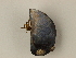  ( - PEB0059)  @12 [ ] CreativeCommons - Attribution Non-Commercial Share-Alike (2011) DFO DFO