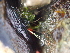  ( - PEB0062)  @11 [ ] CreativeCommons - Attribution Non-Commercial Share-Alike (2011) DFO DFO