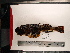  ( - PEB0066)  @13 [ ] CreativeCommons - Attribution Non-Commercial Share-Alike (2011) DFO DFO