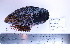  ( - PEB0136)  @13 [ ] CreativeCommons - Attribution Non-Commercial Share-Alike (2011) DFO DFO