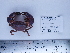  ( - PEB0140)  @13 [ ] CreativeCommons - Attribution Non-Commercial Share-Alike (2011) DFO DFO