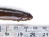  ( - PEB0222)  @12 [ ] CreativeCommons - Attribution Non-Commercial Share-Alike (2011) DFO DFO
