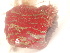  ( - PEB0265)  @11 [ ] CreativeCommons - Attribution Non-Commercial Share-Alike (2011) DFO DFO