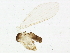  ( - USUHS_SU057)  @12 [ ] CreativeCommons - Attribution (2012) CBG Photography Group Centre for Biodiversity Genomics