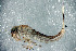  ( - SWRC-Aj_Cab28_02)  @11 [ ] Copyright (c) (2025) David H. Funk Stroud Water Research Center