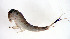  ( - SWRC-As_Arm_02)  @11 [ ] Copyright (c) (2023) David H. Funk Stroud Water Research Center