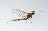  ( - SWRC-As_HSR_02)  @11 [ ] Copyright (c) (2023) David H. Funk Stroud Water Research Center