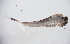  ( - SWRC-As_Shay_34)  @11 [ ] Copyright (c) (2022) David H. Funk Stroud Water Research Center