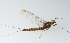  ( - SWRC-As_WS3_13)  @11 [ ] Copyright (c) (2023) David H. Funk Stroud Water Research Center