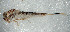  ( - SWRC-Ata_Cab7_01)  @11 [ ] Copyright (c) (2025) David H. Funk Stroud Water Research Center