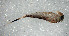  ( - SWRC-Ata_Cab7_02)  @11 [ ] Copyright (c) (2025) David H. Funk Stroud Water Research Center