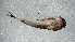  ( - SWRC-Ata_Cha1_01)  @11 [ ] Copyright (c) (2025) David H. Funk Stroud Water Research Center