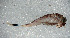 ( - SWRC-Ata_Cha1_02)  @11 [ ] Copyright (c) (2025) David H. Funk Stroud Water Research Center