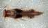  ( - SWRC-Ebic_BlueR_01)  @11 [ ] Copyright (c) (2025) David H. Funk Stroud Water Research Center