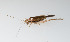 ( - SWRC-TJW_60)  @13 [ ] Copyright (2011) David H. Funk Stroud Water Research Center