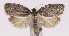  ( - MDH009471)  @11 [ ] No Rights Reserved (2016) N/A N/A