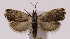  ( - MDH006428)  @11 [ ] No Rights Reserved (2016) N/A N/A