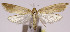  ( - MDH004719)  @14 [ ] No Rights Reserved (2016) N/A N/A