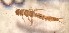 ( - SSI-Yuba-44348-H2)  @11 [ ] Unspecified (default): All Rights Reserved  Unspecified Unspecified