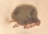  ( - SSI-Yuba-44349-B12)  @11 [ ] Unspecified (default): All Rights Reserved  Unspecified Unspecified
