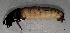  ( - SSI-Yuba-44346-B8)  @11 [ ] Unspecified (default): All Rights Reserved  Unspecified Unspecified