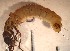 ( - SSI-Yuba-44348-A8)  @11 [ ] Unspecified (default): All Rights Reserved  Unspecified Unspecified