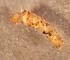  ( - SSI-Yuba-44349-D6)  @11 [ ] Unspecified (default): All Rights Reserved  Unspecified Unspecified