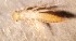  ( - SSI-Yuba-44349-D11)  @11 [ ] Unspecified (default): All Rights Reserved  Unspecified Unspecified