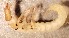  ( - SSI-Yuba-44349-F3)  @11 [ ] Unspecified (default): All Rights Reserved  Unspecified Unspecified