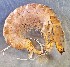  ( - SSI-Yuba-44346-A9)  @11 [ ] Unspecified (default): All Rights Reserved  Unspecified Unspecified