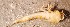  ( - SSI-Yuba-44349-F12)  @11 [ ] Unspecified (default): All Rights Reserved  Unspecified Unspecified