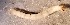  ( - SSI-Yuba-44349-G8)  @11 [ ] Unspecified (default): All Rights Reserved  Unspecified Unspecified