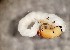  ( - SSI-Yuba-44348-C6)  @11 [ ] Unspecified (default): All Rights Reserved  Unspecified Unspecified