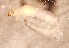  ( - SSI-Yuba-44349-H8)  @11 [ ] Unspecified (default): All Rights Reserved  Unspecified Unspecified