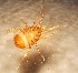  ( - SSI-Yuba-44349-G12)  @11 [ ] Unspecified (default): All Rights Reserved  Unspecified Unspecified