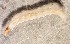  ( - SSI-Yuba-44349-H1)  @11 [ ] Unspecified (default): All Rights Reserved  Unspecified Unspecified