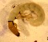  ( - SSI-Yuba-44347-E1)  @11 [ ] Unspecified (default): All Rights Reserved  Unspecified Unspecified