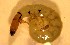  ( - SSI-Yuba-44347-G8)  @11 [ ] Unspecified (default): All Rights Reserved  Unspecified Unspecified