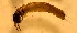  ( - SSI-Yuba-44347-G12)  @11 [ ] Unspecified (default): All Rights Reserved  Unspecified Unspecified