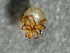  ( - SSI-American-44353-A11)  @11 [ ] by-nc-sa (2024) Unspecified Sierra Streams Institute