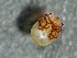  ( - SSI-American-44353-E8)  @11 [ ] by-nc-sa (2024) Unspecified Sierra Streams Institute