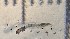  ( - SSI-Yuba-44348-A12)  @11 [ ] Unspecified (default): All Rights Reserved  Unspecified Unspecified