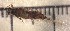  ( - SSI-Yuba-44348-D2)  @11 [ ] Unspecified (default): All Rights Reserved  Unspecified Unspecified