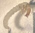  ( - SSI-Yuba-44348-F1)  @11 [ ] Unspecified (default): All Rights Reserved  Unspecified Unspecified