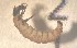  ( - SSI-Yuba-44348-F2)  @11 [ ] Unspecified (default): All Rights Reserved  Unspecified Unspecified