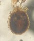  ( - SSI-Yuba-44348-F11)  @11 [ ] Unspecified (default): All Rights Reserved  Unspecified Unspecified