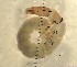  ( - SSI-Yuba-44346-B9)  @11 [ ] Unspecified (default): All Rights Reserved  Unspecified Unspecified