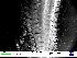  ( - UMBergen_DIOWA_MH50)  @11 [ ] No Rights Reserved (2018) Unspecified University of Bergen